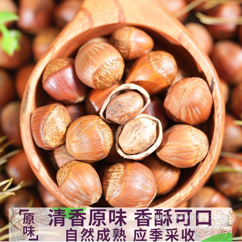 Large Hazelnuts Northeast Specialty Roasted Original Flavor New Non-Wild Hazelnuts Fresh Nut Snacks 500g