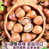Large Hazelnuts Northeast Specialty Roasted Original Flavor New Non-Wild Hazelnuts Fresh Nut Snacks 500g