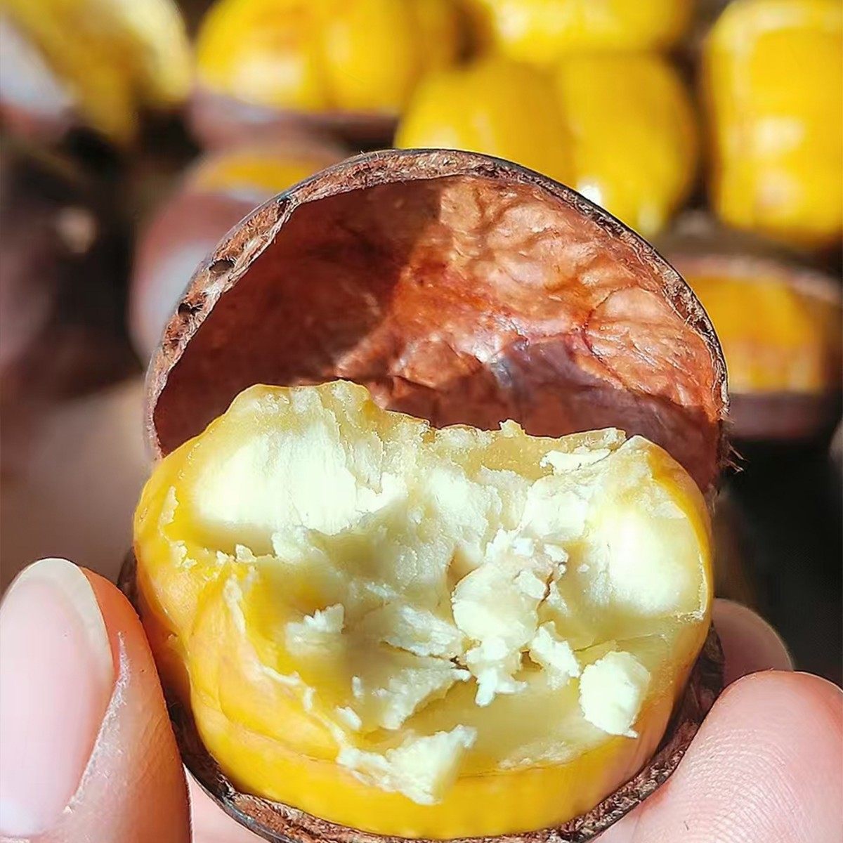 Fresh Chestnuts from Yimeng Mountain, Yellow-Fleshed Oil Chestnuts, New Arrivals in 2025, Seasonal Wild Chestnuts from Deep Mountains for Pregnant Women