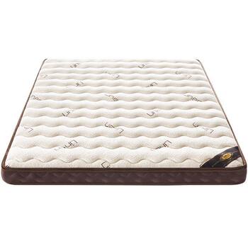 Champs Elysees Natural Coconut Palm Mattress Home Bedroom Spine Protection Hard Mat Latex Kidsren's Mat Tatami Customization