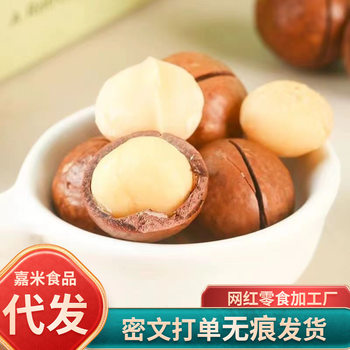 Wholesale Macadamia Nuts Large Thin-Skinned Bagged 500g Wholesale Walnut Nuts Summer Nuts Bulk Wholesale Price