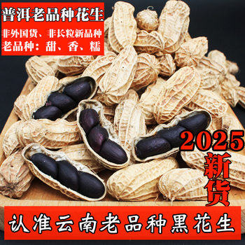 2025 Fresh Raw Black Peanuts with Shells, Black Peanuts from Yunnan Pu'Er, Specialty Small-Sized Black-Skinned Old Variety