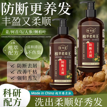 Ginger Shampoo Wholesale Herbal Plant Extract Nourishing Anti-Dandruff Anti-Itch Shampoo Anti-Breakage Oil Control Fluffy Shampoo
