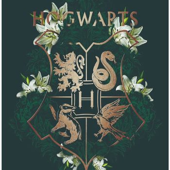 Harry Potter Academy Style Prophet Daily Live Map Flannel Printed Blanket Living Room Bedroom Sofa Available