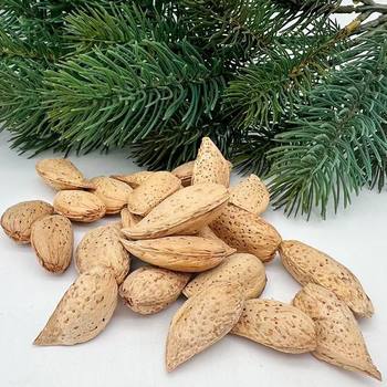 Oem Customized Almond Nuts with Milky Flavor, Large Pieces, New Stock, Bagged, Original Flavor, Hand-Peeled, Large Kernels