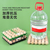 Disposable Plastic Egg Tray with Buckle and Lid Shock-Proof Transparent Egg Packaging Box Supermarket Manufacturer Direct Sale