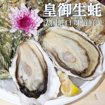 French Imported Oyster King Ready-To-Eat Seafood Wholesale Fresh Water Produce Fresh Sashimi Wholesale Price Low
