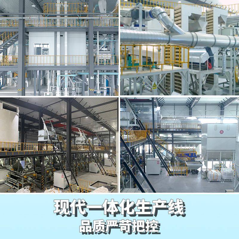 Processing and Customization of Large-Capsules Pine Nuts, Original Nut Snacks, Open Pine Nuts, Bulk Wholesale, New Goods, Northeastern Pine Nuts