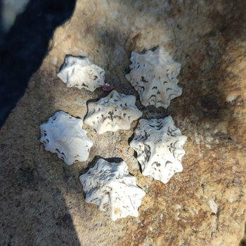 Natural Snail Shell Small Conch Fish Tank Landscape Color Kindergarten Handmade DIY Drift Bottle Decoration Material