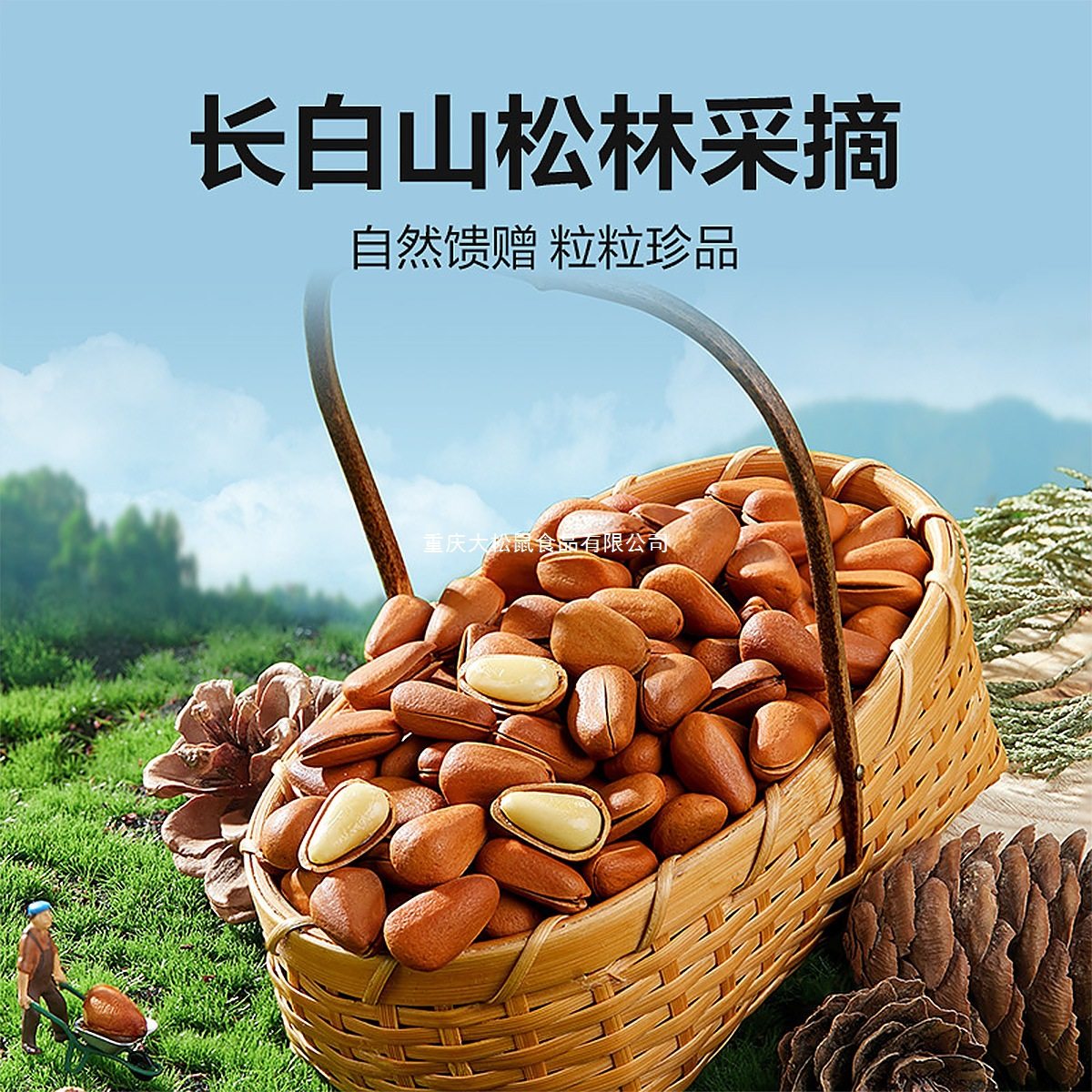 Bestore Northeastern Pine Nuts 500g Red Pine 2025 New Arrival Large Particle Nuts Canned Snacks Dried Nuts