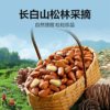 Bestore Northeastern Pine Nuts 500g Red Pine 2025 New Arrival Large Particle Nuts Canned Snacks Dried Nuts