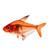 Red Dream Flag Pull Flag Tropical Fish Ornamental Fish Wholesale Small Tropical Fish Fishing Farm Direct Sales