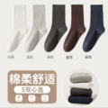 5 Pairs【White + Light Gray + Dark Gray + Coffee + Navy Blue】