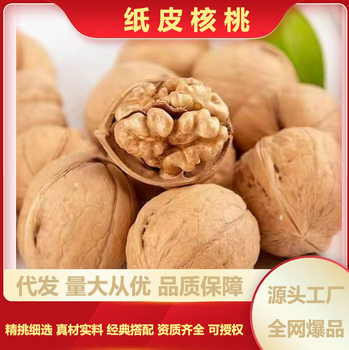 Xinjiang Authentic Paper-Skinned Walnuts Thin-Skinned 185 Paper-Skinned Walnuts Xinjiang Dried Fruits and Nuts Original Flavor Wholesale Delivery