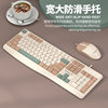 Viper Km300 Wired Office Business Keyboard and Mouse Set Desktop Computer Notebook Fashion Color Matching Keyboard and Mouse