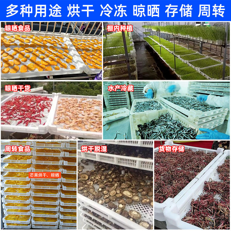 Factory plastic basket food drying basket drying tray drying tray jujube sea cucumber herbal tray plastic single freezer