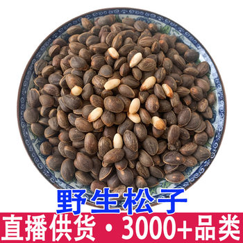 Yunnan Fresh Pine Nuts in Bulk Large Particles Original Flavor Nuts Tengchong Specialty Wholesale