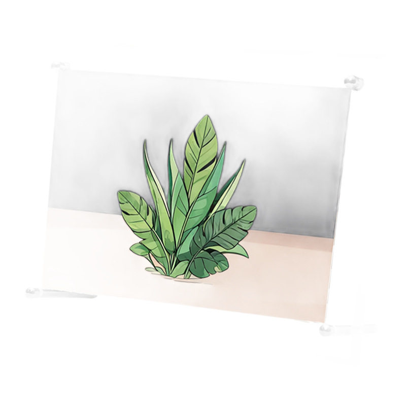 Acrylic Table Transparent Photo Frame 6, 7, 8inch Wall-Mounted A4 Business License Frame Authorization Certificate Display Nail Making