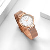 Cross-Border Brand Women's Watch with Japanese Movement, 32mm Small Dial, Fashionable and Versatile Design, Direct Sales from the Manufacturer