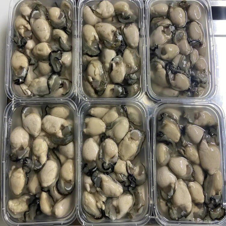 Oyster Meat, Frozen Oyster Meat, Freshly Shucked Oyster Meat, Oyster Meat, Fresh Grilled Oyster Meat