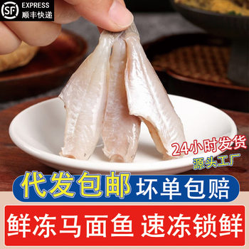 Fresh Frozen Large Flounder Fish for Hot Pot and Barbecue Ingredients, Commercial Seafood Wholesale