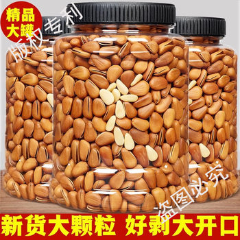 Premium Extra Large Northeastern Pine Nuts Bulk Large Grains 500g Original Flavor Red Pine Nuts for Pregnant Women Canned New Arrival