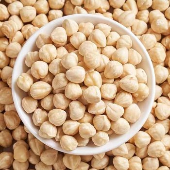 hazelnut nuts nuts hazelnut nuts