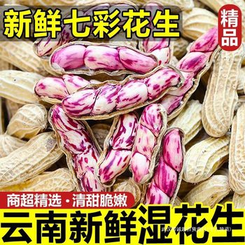 Colorful Fresh Wet Freshly Dug Peanuts Freshly Made Milk Fruit Colorful Yunnan Peanuts Shelled Cream 2025 Peanuts