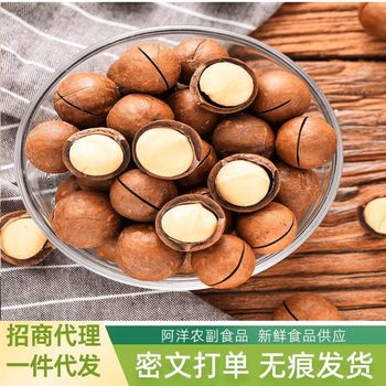 New Macadamia Nut Snacks, Creamy Macadamia Nuts, Original Flavor Nuts, Bulk Weighing Snacks, Whole Box Wholesale and Delivery