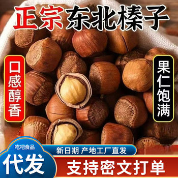 Northeast Wild Hazelnuts New Arrival Bagged Original Thin-Skinned Nut Snacks for Pregnant Women Wholesale Price Liling Specialty Hazelnuts