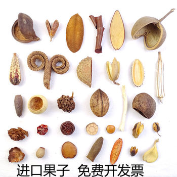 South American and South African Brazilian Fruit Shell, Hot-Beattiba Fruit, Terelong Beta Fruit, Hedgehog Shell, Handmade DIY Photo Frame Teacher's Day