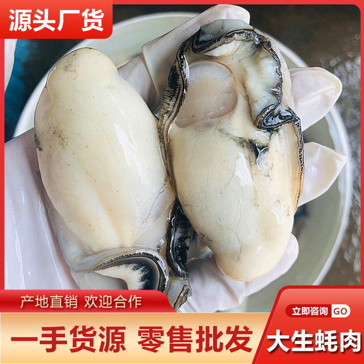 Extra Large Oyster Meat Wholesale Shandong Rushan Shelled Fresh Peeled Extra Large Oyster Meat Oyster Large Oyster Flower