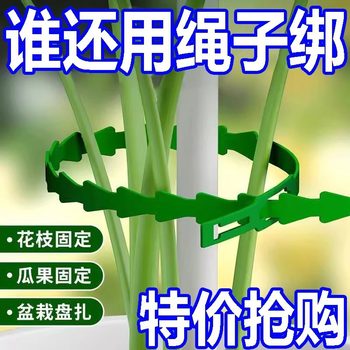 50 Gardening Binding Threads, Shaped Plastic-Coated Binding Threads, Climbing Vines, Seedlings, Vegetable Fishbone Binding Threads, Binding Threads
