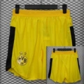 Dortmund 2526 player edition home pants