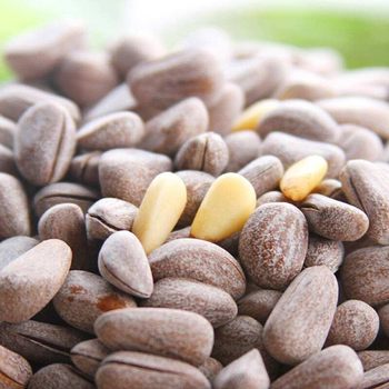 Salted Pine Nuts 500g Bulk Large Grain Creamy Pine Nuts Grade Large Northeast Hand-Peeled Open Sea Salt Pine Nuts