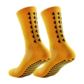 Turmeric (sz-111)