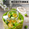 Large Sealed Glass Jar for Soaking Wine, Green Plum Wine Jar, Juice Barrel, Beverage Barrel, Household Container, Sealed Wine Jar