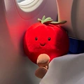 Tomato 17cm