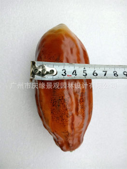 Simulated Cocoa Fruit Model Cocoa Tree Coffee Shop Display Props Artificial Fruit Ornaments Photography Props Coffee Beans