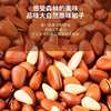 Open-Packaged Wild Pine Nuts from Huashan, Easy to Peel, Specialty Nuts, Wholesale Dried Fruit Snacks, Roasted Goods, Crispy
