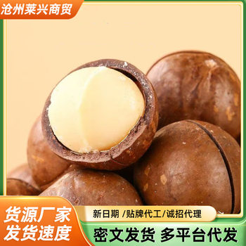 Bulk Wholesale of Large Macadamia Nuts with Milk Flavor, Pistachio and Cashew Nuts Snacks