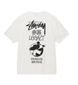 White【Figure】