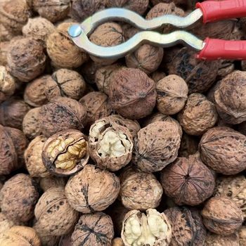 Yunnan Thin-Skinned Walnuts New Raw Walnuts 500g Packed Nuts Pecans Spot Wholesale and Retail Dropshipping