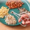 Pine Nut Shell Opener Melon Seed Shelling Machine Household Nut Special Clamp Hazelnut Melon Seed Pliers Clamp Peeling Melon Seed Artifact