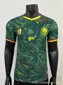 Player 2627 cameroon home