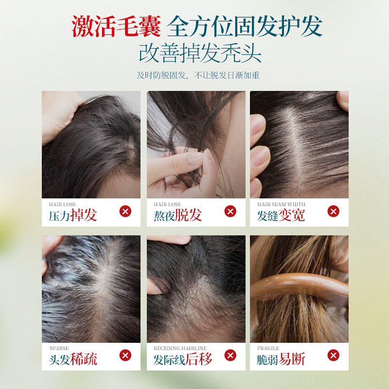 Guangzhou Baiyunshan Baidi Biological Anti-off Shampoo Ginger Polygonum Multiflorum Moisturizing and Fixing Black Hair Hair Regrowing Shampoo