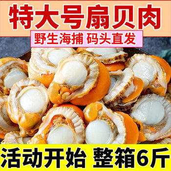 Large Scallop Meat Fresh Quick-Frozen with Yellow Ice-Free Seafood Fresh Frozen Wild Vacuum Packaging 250g
