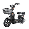 Flying Pigeon Golden Eagle Electric Vehicle 48V Lithium Battery Car New National Standard Electric Bicycle