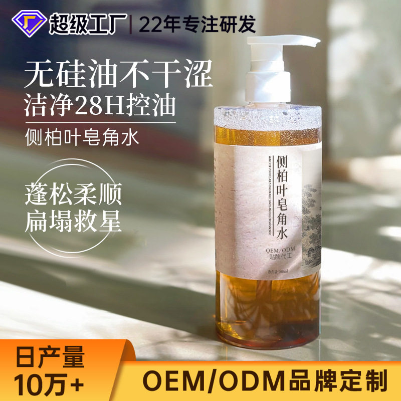 Platycladus Orientalis Leaf Saponaria Water Customized Silicone-Free Polygonum Multiflorum Herbal Shampoo Soapberry Ganoderma Lucidum Oil Control Shampoo