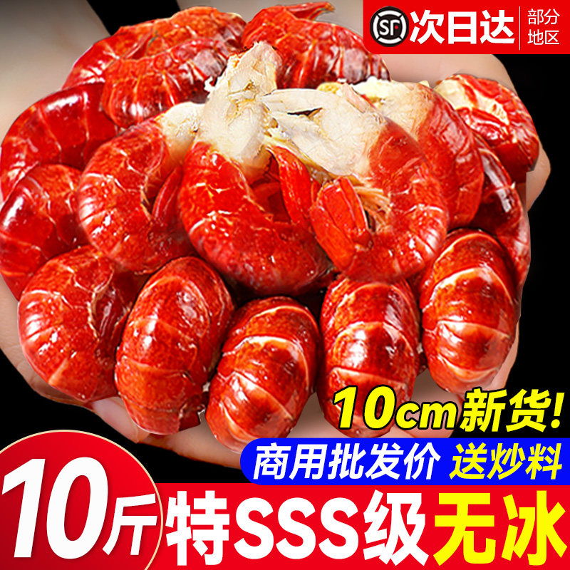 Large Lobster Frozen Fresh Crayfish Without Ice Coat Lobster Special Shrimp Balls Fresh Frozen Wholesale Fresh Box a